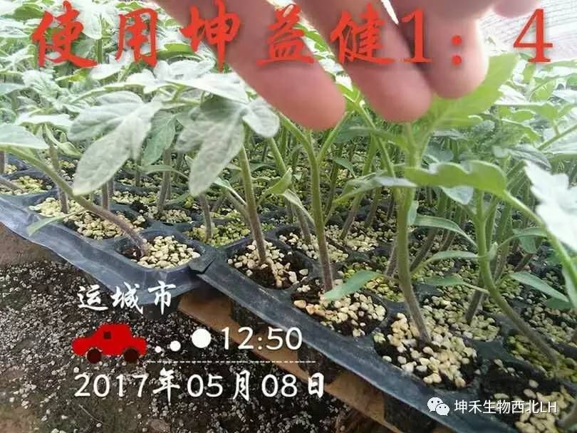 微信图片_20170520184124.jpg